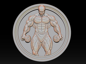 Male Bodybuilder Bas Relief 3D Print Model