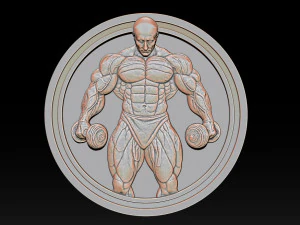 Male Bodybuilder Bas Relief 3D Print Model