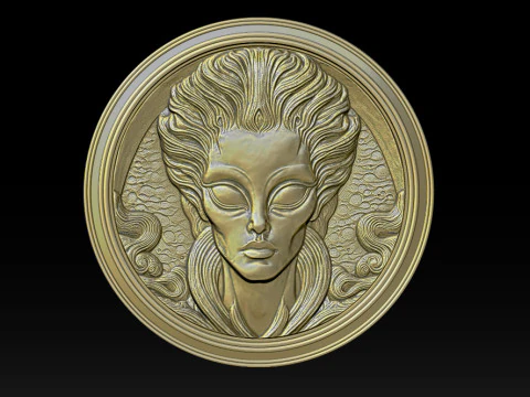 Alien relief model 3D Print Model