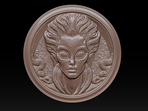 Alien relief model 3D Print Model