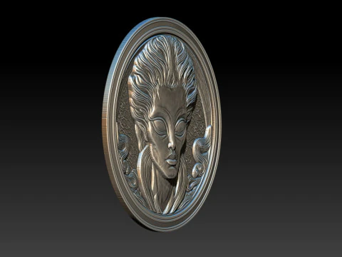 Alien relief model 3D Print Model