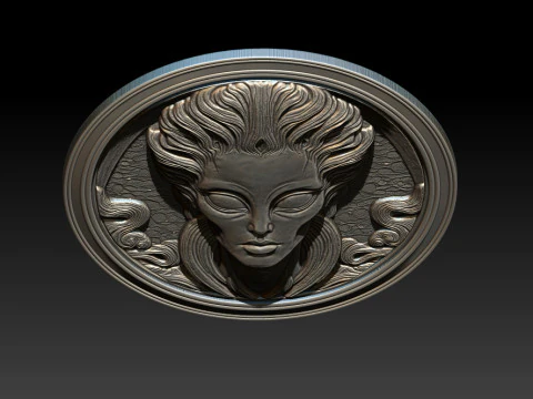 Alien relief model 3D Print Model