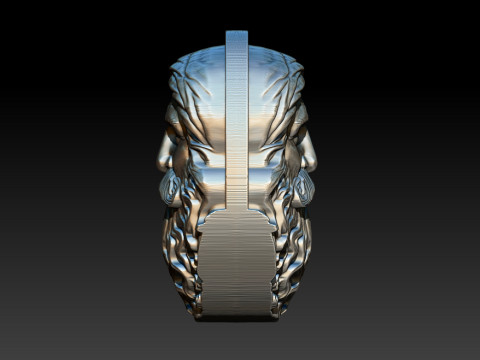 Sadhgurus Portrait Relief Model 3D Print Model