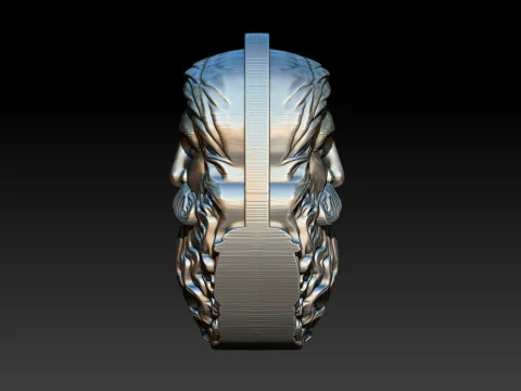 Sadhgurus Portrait Relief Model 3D Print Model