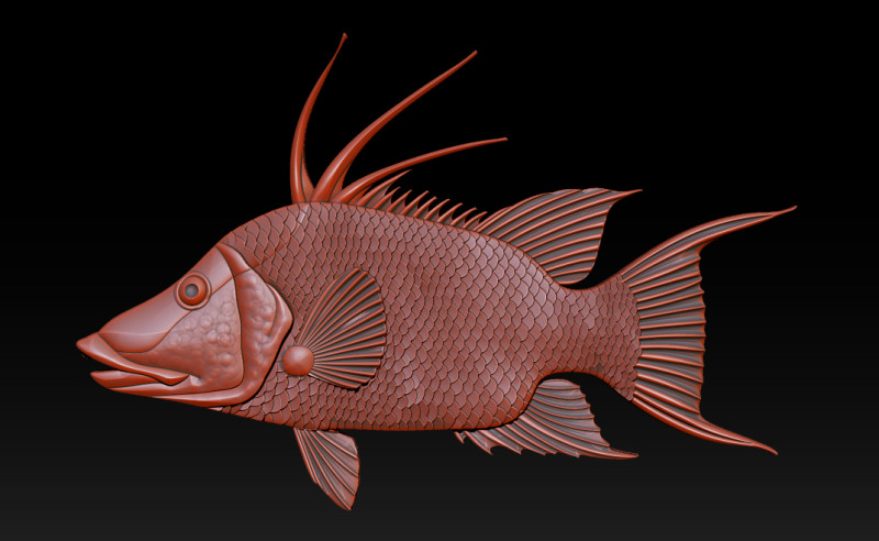 3D STL Hogfish Relief Model 3D Print Model .c4d .max .obj .3ds .fbx .stl .blend 