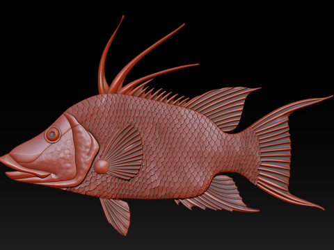 3D STL Hogfish-reliëfmodel 3D printmodel