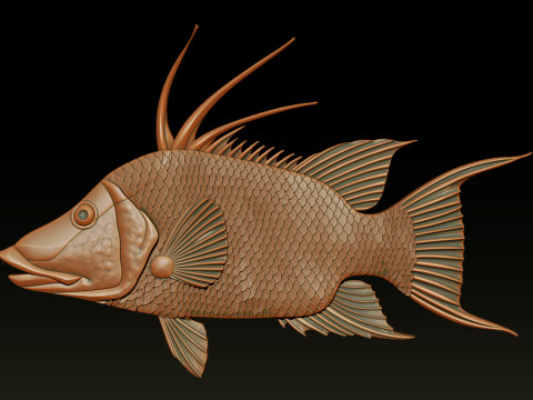 3D STL Hogfish Relief Model 3D Print Model