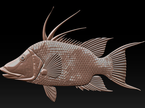 3D STL Hogfish Relief Model 3D Print Model