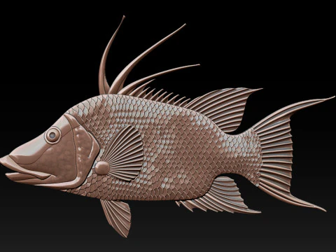 3D STL Hogfish Relief Model 3D Print Model