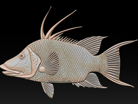 3D STL Hogfish Relief Model 3D Print Model
