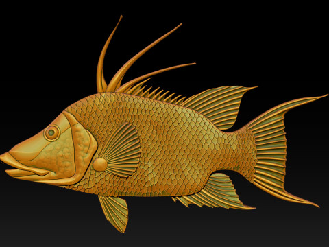 3D STL Hogfish Relief Model 3D Print Model