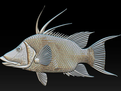 3D STL Hogfish Relief Model 3D Print Model
