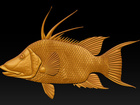 3D STL Hogfish Relief Model 3D Print Model