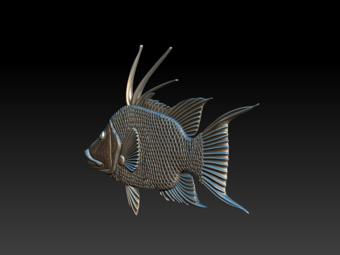 3D STL Hogfish Relief Model 3D Print Model