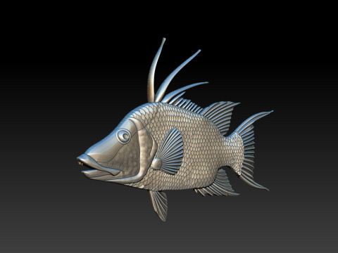 3D STL Hogfish Relief Model 3D Print Model