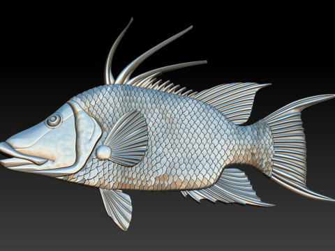 3D STL Hogfish Relief Model 3D Print Model