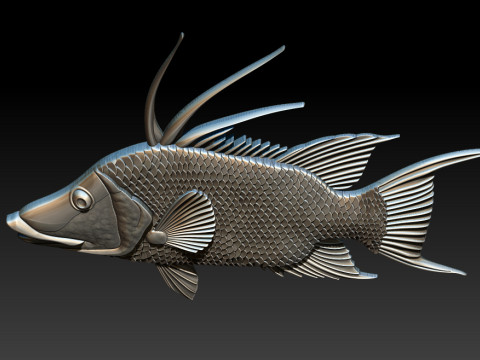 3D STL Hogfish Relief Model 3D Print Model