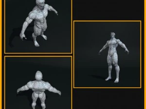 realistic male body 3D Model