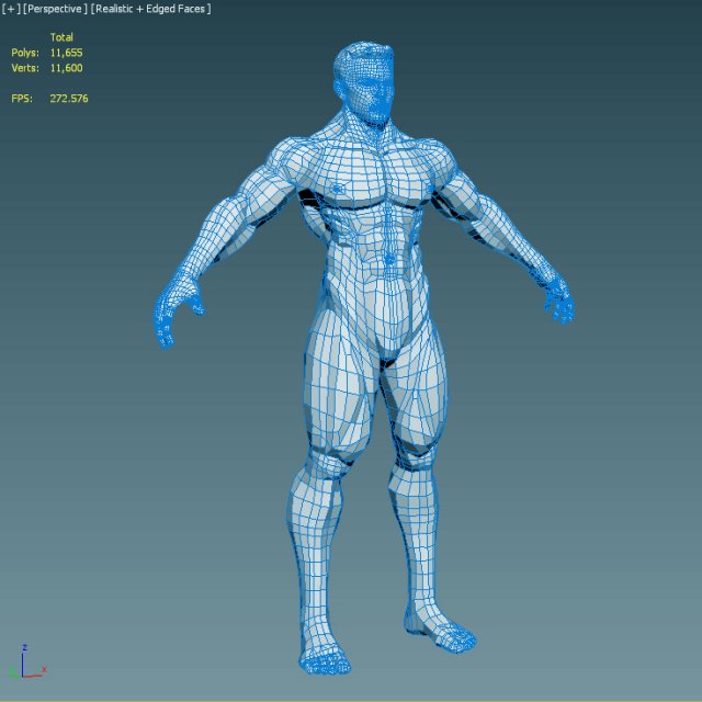 realistic male body 3D 모델 .c4d .max .obj .3ds .fbx .stl .blend 