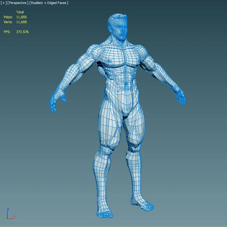 realistic male body 3D Model .c4d .max .obj .3ds .fbx .stl .blend