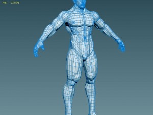 realistic male body 3D Model