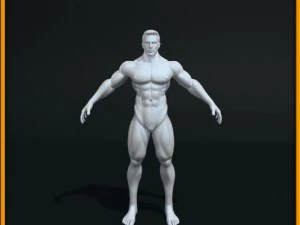 realistic male body 3D Model