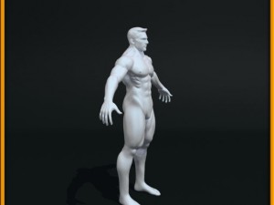 realistic male body 3D 모델