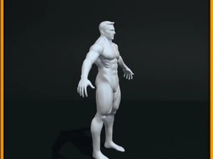 realistic male body 3D Model