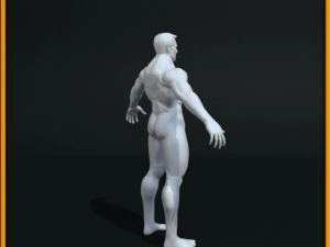 realistic male body 3D Model