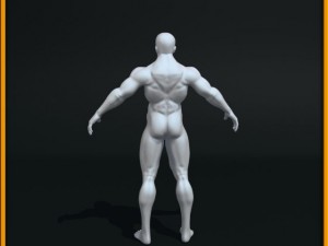 realistic male body 3D 모델
