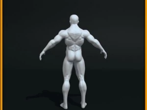 realistic male body 3D Model