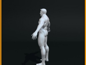 realistic male body 3D 모델