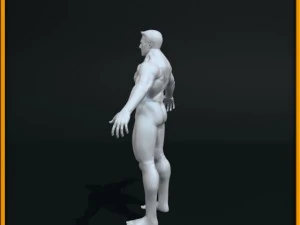 realistic male body 3D Model