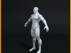 realistic male body 3D 모델