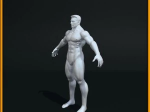 realistic male body 3D Model