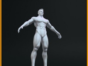 realistic male body 3D 모델