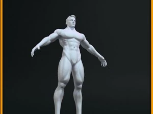 realistic male body 3D Model