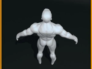 realistic male body 3D Model