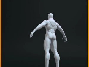 realistic male body 3D Model