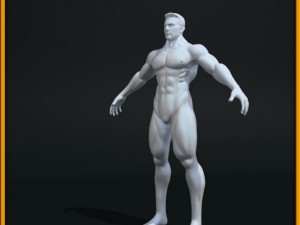 realistic male body 3D 모델