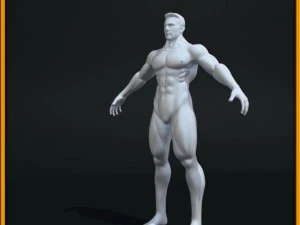 realistic male body 3D Model