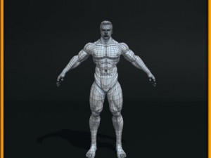 realistic male body 3D 모델