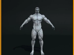 realistic male body 3D Model