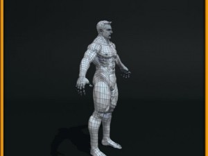 realistic male body 3D 모델