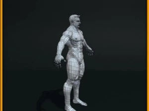 realistic male body 3D Model