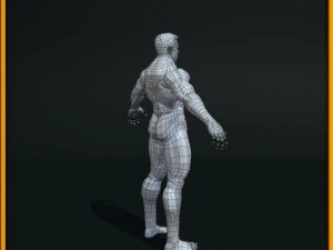 realistic male body 3D Model