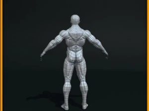 realistic male body 3D Model