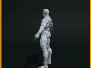 realistic male body 3D Model