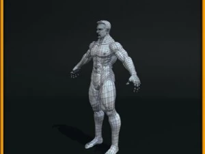 realistic male body 3D Model