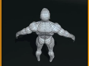 realistic male body 3D Model